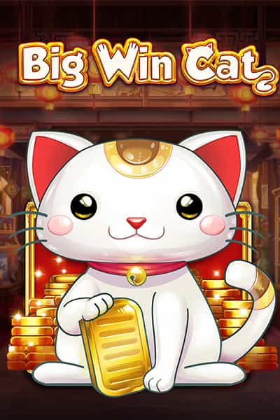 Big Win Cat